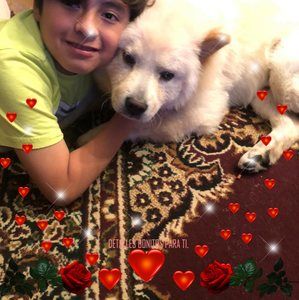 Meet your Posher, Araceli